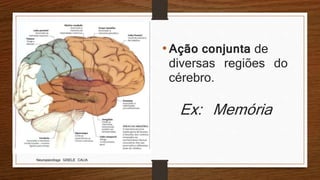 Ex: Memória
Neuropsicóloga GISELE CALIA
•Ação conjunta de
diversas regiões do
cérebro.
 