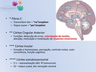 • * Fibras C
– Transmitem dor = “no”ciception
– Toque suave = “yes”ciception
• ** Córtex Cingular Anterior
– Funções: detecção de erros, antecipação de tarefas,
atenção, motivação e modulação de respostas emocionais
• *** Córtex insular
– Emoção e homeostase, percepção, controle motor, auto-
consciência, função cognitiva
• **** Córtex somatossensorial
– S 1 – representação tátil  homunculo
– S2 – toque suave, dor sensação visceral
 