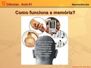 Ciências . Aula 01 Neurociências   Como funciona a memória? 