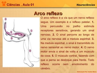 Ciências . Aula 01 Neurociências   Arco reflexo O arco reflexo é a via que um nervo reflexo segue. Um exemplo é o reflexo patelar.  1.  Uma percussão no joelho estimula receptores sensitivos, gerando um sinal nervoso.  2.  O sinal percorre ao longo de uma via nervosa até a medula espinhal.  3.  Na medula espinhal, o sinal é transmitido do nervo sensorial ao nervo motor.  4.  O nervo motor envia o sinal de volta a um músculo da coxa.  5.  O músculo contrai, fazendo com que a perna se desloque para frente. Todo reflexo ocorre sem envolvimento do cérebro. 