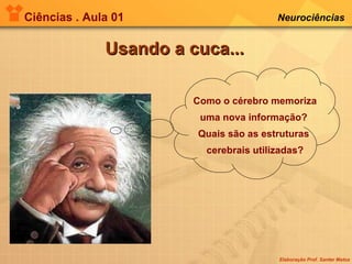 Ciências . Aula 01 Neurociências   Usando a cuca... Como o cérebro memoriza uma nova informação?  Quais são as estruturas  cerebrais utilizadas? 