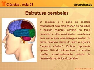 Ciências . Aula 01 Neurociências   Estrutura cerebelar O cerebelo é a parte do encéfalo responsável pela manutenção do equilíbrio e postura corporal, controle do tônus muscular e dos movimentos voluntários, bem como pela aprendizagem motora. O termo cerebelo deriva do latim e significa "pequeno cérebro". Embora represente apenas 10% do volume total do cérebro, contêm aproximadamente metade do número de neurônios do cérebro. 