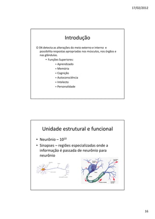 17/02/2012




                      Introdução
O SN detecta as alterações do meio externo e interno e
   possibilita respostas apropriadas nos músculos, nos órgãos e
   nas glândulas.
        • Funções Superiores:
                » Aprendizado
                » Memória
                » Cognição
                » Autoconsciência
                » Intelecto
                » Personalidade




    Unidade estrutural e funcional
• Neurônio – 1010
• Sinapses – regiões especializadas onde a
  informação é passada de neurônio para
  neurônio




                                                                         16
 