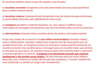 Os neurônios também variam no que diz respeito a suas funções:
os neurônios sensoriais transportam sinais das extremidades do nosso corpo (periferias)
para o sistema nervoso central;
os neurônios motores (motoneurônios) transportam sinais do sistema nervoso central para
as extremidades (músculos, pele, glândulas) do nosso corpo;
os receptores percebem o ambiente (químicos, luz, som, toque) e codificam essas
informações em mensagens eletroquímicas, que são transmitidas pelos neurônios sensoriais;
os interneurônios conectam vários neurônios dentro do cérebro e da medula espinhal.
O tipo mais simples de via neural é um arco reflexo monossináptico (conexão simples),
como o reflexo patelar. Quando o médico bate no ponto certo do nosso joelho com um
martelo de borracha, os receptores enviam um sinal para a medula espinhal através de um
neurônio sensorial. Esse neurônio passa a mensagem para um neurônio motor, que controla
os músculos da nossa perna. Os impulsos nervosos viajam pelo neurônio motor e estimulam
o músculo específico a se contrair. A resposta é um movimento muscular que acontece
rapidamente e não envolve nosso cérebro. Os seres humanos possuem vários reflexos
desse tipo, mas, conforme as tarefas vão ficando mais complexas, o "circuito" também fica
mais complicado e o cérebro se integra nele. (Freudenrich)
 