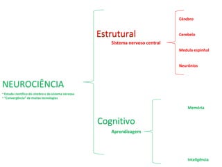 NEUROCIÊNCIA
Cognitivo
Memória
Inteligência
Aprendizagem
• Estudo científico do cérebro e do sistema nervoso
• “Convergência” de muitas tecnologias
Estrutural
Sistema nervoso central
Cérebro
Cerebelo
Medula espinhal
Neurônios
EstruturalEstrutural
Cérebro
Cerebelo
Medula espinhal
Neurônios
Sistema nervoso central
 