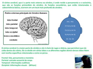 O córtex cerebral, que é a parte mais externa no cérebro, é onde reside o pensamento e o raciocínio,
que são as funções primordiais do cérebro. As funções secundárias, que estão relacionadas à
sobrevivência básica, ocorrem em um local mais profundo do cérebro.
O córtex cerebral é a maior parte do cérebro e ele é cheio de rugas e dobras, que permitem que ele
caiba dentro do crânio. Ele se divide em vários lobos e as diferentes regiões dentro desses lobos lidam
com tarefas específicas relacionadas a como se pensa.
Frontal: fala, pensamento e memória
Parietal: entrada sensorial do corpo
Temporal: informações auditivas
Occipital: informações visuais (Wilson)
FP1 FP2
F7 F3 Fz F4 F8
T3 C3 Cz C4 T4
T5 P3 Pz P4 T6
O1 Oz O1
 