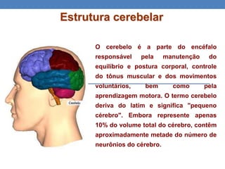 Estrutura cerebelar
O cerebelo é a parte do encéfalo
responsável pela manutenção do
equilíbrio e postura corporal, controle
do tônus muscular e dos movimentos
voluntários, bem como pela
aprendizagem motora. O termo cerebelo
deriva do latim e significa "pequeno
cérebro". Embora represente apenas
10% do volume total do cérebro, contêm
aproximadamente metade do número de
neurônios do cérebro.
 