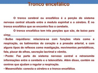 Tronco encefálico
O tronco cerebral ou encefálico é a porção do sistema
nervoso central situada entre a medula espinhal e o cérebro. É no
tronco encefálico que se encontra fixo o cerebelo.
O tronco encefálico tem três porções que são, de baixo para
cima:
• Bulbo raquidiano: relaciona-se com funções vitais como a
respiração, os batimentos do coração e a pressão arterial, e com
alguns tipos de reflexos como mastigação, movimentos peristálticos,
fala, piscar de olhos, secreção lacrimal e vômito.
• Ponte: Faz parte do sistema nervoso central e retransmite
informações entre o cerebelo e o telencéfalo. Além disso, contém os
centros que ajudam a regular a respiração.
• Mesencéfalo: conecta o cérebro e o tronco encefálico.
 
