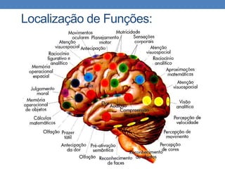 Localização de Funções:
 
