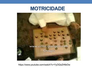 MOTRICIDADE
https://www.youtube.com/watch?v=YyOQxZrNbOw
 