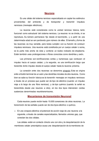 Neurona
Es una célula del sistema nervioso especializada en captar los estímulos
provenientes del ambiente y de transportar y transmitir impulsos
nerviosos (mensajes eléctricos).
La neurona está considerada como la unidad nerviosa básica, tanto
funcional como estructural del sistema nervioso. La neurona no se divide, ni se
reproduce. Su número permanece fijo desde el nacimiento, y a partir de una
determinada edad se van perdiendo gran número de ellas. El tamaño y forma de
las neuronas es muy variable, pero todas cumplen con su función de conducir
impulsos nerviosos. Una neurona está constituida por un cuerpo celular o soma,
es la parte más ancha de ésta y contiene un núcleo rodeado de citoplasma.
Están también unas prolongaciones o fibras conocidas como dendritas y axón.
Las primeras son ramificaciones cortas y numerosas que conducen el
impulso hacia el cuerpo celular; y la segunda, es una ramificación larga que
transmite dicho impulso desde el cuerpo celular hasta la neurona próxima.
La conexión entre dos neuronas se denomina sinapsis. Esta se origina
entre el botón terminal de un axón y las dendritas iniciales de otra neurona. Como
bien se sabe su función básica es la transmitir mensajes en impulsos nerviosos
a través de un proceso que puede ser de tipo de eléctrico (cuando un impulso
viaja a lo largo de una fibra nerviosa), y de tipo químico (cuando la señal es
transmitida desde una neurona a otra), en los dos tipos intervienen ciertas
sustancias denominadas neurotransmisores.
Mecanismos de transmisión Neuronal
Cada neurona puede recibir hasta 15.000 conexiones de otras neuronas. La
transmisión de las señales puede ser de dos tipos eléctrico o químico.
 En una sinapsis eléctrica el potencial de acción viaja de una neurona a la
siguiente, a través de canales especializados, llamados uniones gap, que
conectan las dos células.
Las células están en contacto directo una con otra y la despolarización de la
membrana celular presináptica causa una despolarización de la membrana de
 
