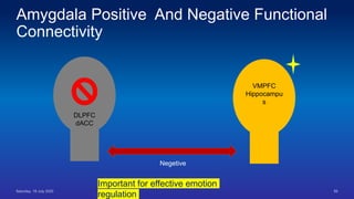 Amygdala Positive And Negative Functional
Connectivity
DLPFC
dACC
VMPFC
Hippocampu
s
Negetive
Important for effective emotion
regulation
 