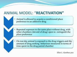Neuro-circuitry of Craving and its Implications in management | PPTX