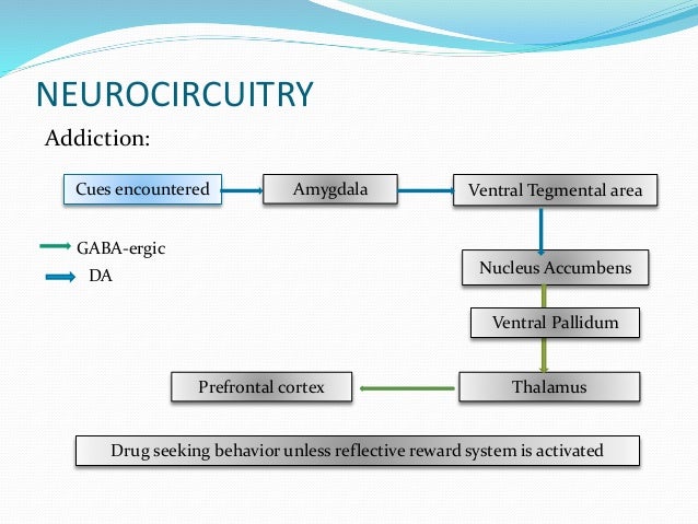 a discussion on the paraventricular nucleus of the thalamus in relation to the nucleus accumbens To receive news and publication updates for evidence-based complementary and alternative medicine, enter your email address in the box below. a discussion on the paraventricular nucleus of the thalamus in relation to the nucleus accumbens To receive news and publication updates for evidence-based complementary and alternative medicine, enter your email address in the box below.