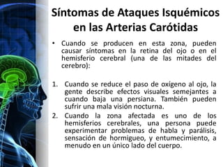 Síntomas de Ataques Isquémicos
    en las Arterias Carótidas
• Cuando se producen en esta zona, pueden
  causar síntomas en la retina del ojo o en el
  hemisferio cerebral (una de las mitades del
  cerebro):

1. Cuando se reduce el paso de oxígeno al ojo, la
   gente describe efectos visuales semejantes a
   cuando baja una persiana. También pueden
   sufrir una mala visión nocturna.
2. Cuando la zona afectada es uno de los
   hemisferios cerebrales, una persona puede
   experimentar problemas de habla y parálisis,
   sensación de hormigueo, y entumecimiento, a
   menudo en un único lado del cuerpo.
 