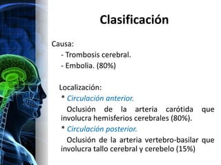 Clasificación
Causa:
  - Trombosis cerebral.
  - Embolia. (80%)

  Localización:
   * Circulación anterior.
     Oclusión de la arteria carótida que
   involucra hemisferios cerebrales (80%).
   * Circulación posterior.
     Oclusión de la arteria vertebro-basilar que
   involucra tallo cerebral y cerebelo (15%)
 