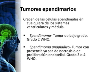 Tumores ependimarios
 Crecen de las células ependimales en
   cualquiera de los sistemas
   ventriculares y médula.

    ...