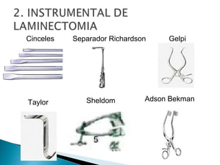 Campos incisionales
recomendados:
 Laparotomía
 Toracotomía
 Tiroidectomía
 Laminectomía
 Artroscopias
 Cirugías o...