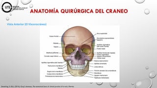NEUROCIRUGIA Fundamentos Anatómicos y Fisiológicos.pptx