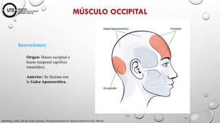 NEUROCIRUGIA Fundamentos Anatómicos y Fisiológicos.pptx