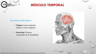 NEUROCIRUGIA Fundamentos Anatómicos y Fisiológicos.pptx