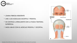 NEUROCIRUGIA Fundamentos Anatómicos y Fisiológicos.pptx