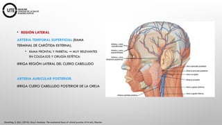 NEUROCIRUGIA Fundamentos Anatómicos y Fisiológicos.pptx