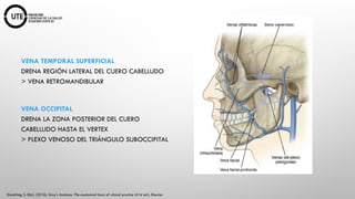 NEUROCIRUGIA Fundamentos Anatómicos y Fisiológicos.pptx