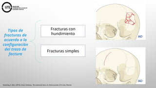 NEUROCIRUGIA Fundamentos Anatómicos y Fisiológicos.pptx