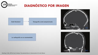 NEUROCIRUGIA Fundamentos Anatómicos y Fisiológicos.pptx