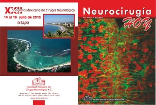 Neurocirugía Hoy, Vol. 4, Numero 14