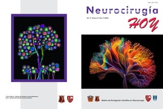 Vol. 17 Número 51 Año 17 (2023)
“Tree of Nerve” Células de Schwann y Neurofilamentos.
Autor: Neuroscience News Communications
 