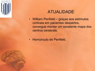ATUALIDADE
• William Penfield – graças aos estímulos
corticais em pacientes despertos,
consegue montar um excelente mapa dos
centros cerebrais.
• Homúnculo de Penfield.
 