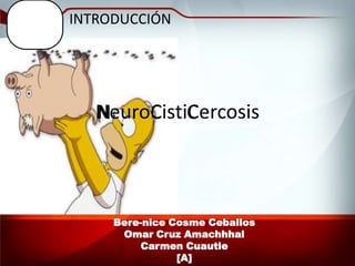 INTRODUCCIÓN




   NeuroCistiCercosis
   N    C C



     Bere-nice Cosme Ceballos
      Omar Cruz Amachhhal
          Carmen Cuautle
                [A]
 