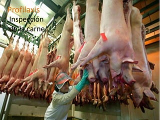 Profilaxis
Inspección
de la carne
 