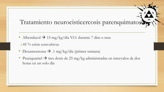 Tratamiento neurocisticercosis parenquimatosa
• Albendazol  15 mg/kg/día V.O. durante 7 días o mas
45 % crisis convulsivas
• Dexametasona  .1 mg/kg/día (primer semana)
• Praziquantel  tres dosis de 25 mg/kg administradas en intervalos de dos
horas en un solo día
 