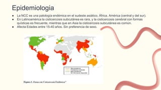 Epidemiologia
● La NCC es una patología endémica en el sudeste asiático, África, América (central y del sur).
● En Latinoamérica la cisticercosis subcutánea es rara, y la cisticercosis cerebral con formas
quísticas es frecuente, mientras que en Asia la cisticercosis subcutánea es común.
● Afecta Edades entre 15-40 años. Sin preferencia de sexo.
 