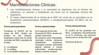 Manifestaciones Clinicas:
• Las manifestaciones clínicas y su severidad se relacionan con el número de
cisticercos, su volumen y localización así como con la respuesta inmune del
organismo.
• El mayor determinante de la clínica de la NCC así como de su pronóstico es la
localización parenquimatosa (40-62%) o extraparenquimatosa (27-56%) de los
cisticercos.
Forma parenquimatosa
Constituye el 29-62% de los
casos de NCC. Suelen ser
quistes de tipo celuloso,
localizados sobre todo en áreas
corticales del SNC y ganglios de
la base.
 La epilepsia
 La cefalea.
 La encefalitis cisticercosa
Forma subaracnoidea
Es la segunda forma más
frecuente (27-56%). Suelen ser
quistes racemosos.
Se presenta como hidrocefalia,
meningitis crónica, demencia
rápidamente progresiva,
neuropatía craneal, aracnoiditis
espinal extensa e incluso
enfermedad cerebrovascular,
debido a arteritis cerebral
Forma intraventricular
El 10-20% de los pacientes con
NCC. Localizados frecuentemente
en el IV ventrículo, que provocan
obstrucción en el flujo del LCR.
Sindrome de Bruns
 