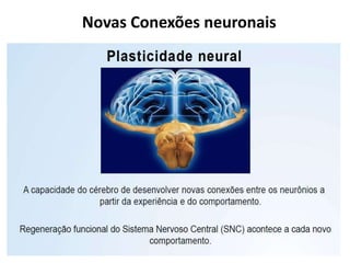 Novas Conexões neuronais
 