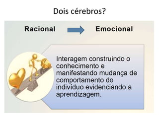 Dois cérebros?
 