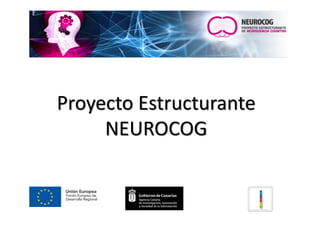 Proyecto Estructurante
     NEUROCOG
 