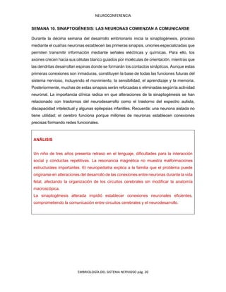 NEUROCONFERENCIA
EMBRIOLOGÍA DEL SISTEMA NERVIOSO pág. 20
SEMANA 10. SINAPTOGÉNESIS: LAS NEURONAS COMIENZAN A COMUNICARSE
Durante la décima semana del desarrollo embrionario inicia la sinaptogénesis, proceso
mediante el cual las neuronas establecen las primeras sinapsis, uniones especializadas que
permiten transmitir información mediante señales eléctricas y químicas. Para ello, los
axones crecen hacia sus células blanco guiados por moléculas de orientación, mientras que
las dendritas desarrollan espinas donde se formarán los contactos sinápticos. Aunque estas
primeras conexiones son inmaduras, constituyen la base de todas las funciones futuras del
sistema nervioso, incluyendo el movimiento, la sensibilidad, el aprendizaje y la memoria.
Posteriormente, muchas de estas sinapsis serán reforzadas o eliminadas según la actividad
neuronal. La importancia clínica radica en que alteraciones de la sinaptogénesis se han
relacionado con trastornos del neurodesarrollo como el trastorno del espectro autista,
discapacidad intelectual y algunas epilepsias infantiles. Recuerda: una neurona aislada no
tiene utilidad; el cerebro funciona porque millones de neuronas establecen conexiones
precisas formando redes funcionales.
ANÁLISIS
Un niño de tres años presenta retraso en el lenguaje, dificultades para la interacción
social y conductas repetitivas. La resonancia magnética no muestra malformaciones
estructurales importantes. El neuropediatra explica a la familia que el problema puede
originarse en alteraciones del desarrollo de las conexiones entre neuronas durante la vida
fetal, afectando la organización de los circuitos cerebrales sin modificar la anatomía
macroscópica.
La sinaptogénesis alterada impidió establecer conexiones neuronales eficientes,
comprometiendo la comunicación entre circuitos cerebrales y el neurodesarrollo.
 