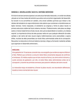 NEUROCONFERENCIA
EMBRIOLOGÍA DEL SISTEMA NERVIOSO pág. 4
SEMANA 3. NEURULACIÓN: NACE EL SISTEMA NERVIOSO
Al iniciar la tercera semana aparece una estructura llamada notocorda, un cordón de células
ubicado en la línea media del embrión que actúa como el primer organizador del desarrollo.
Su función no es convertirse en cerebro, sino enviar señales químicas que indican a las
células del ectodermo la capa embrionaria más externa que comiencen a transformarse en
tejido nervioso. Como respuesta, el ectodermo se engrosa y forma la placa neural, la
primera estructura visible del futuro sistema nervioso. Posteriormente, esta placa se pliega
sobre sí misma hasta formar el tubo neural, del cual se desarrollarán el cerebro y la médula
espinal. La importancia clínica de este proceso radica en que cualquier alteración de estas
señales o del cierre del tubo neural origina malformaciones como anencefalia o espina
bífida, muchas de ellas prevenibles con ácido fólico administrado antes de la concepción.
Recuerda: la notocorda no forma el sistema nervioso; dirige su formación mediante señales
que organizan el desarrollo embrionario.
ANÁLISIS:
Una gestante de 10 semanas consulta tras una ecografía que evidencia espina bífida en
el feto. Refiere que comenzó a consumir ácido fólico únicamente después de confirmar
el embarazo. El médico explica que el tubo neural se forma y se cierra entre la tercera y
cuarta semana de gestación; por ello, el ácido fólico debe administrarse antes de la
concepción y durante las primeras semanas para prevenir defectos del cierre neural.
La notocorda indujo al ectodermo a formar la placa neural; una neurulación defectuosa
impidió el cierre normal del tubo neural.
 