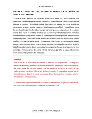 NEUROCONFERENCIA
EMBRIOLOGÍA DEL SISTEMA NERVIOSO pág. 5
SEMANA 4. CIERRE DEL TUBO NEURAL: EL MOMENTO MÁS CRÍTICO DEL
DESARROLLO CEREBRAL
Durante la cuarta semana del desarrollo embrionario ocurre uno de los eventos más
importantes de la embriología humana: el cierre completo del tubo neural, estructura que
originará el cerebro y la médula espinal. Este cierre no sucede de forma simultánea;
comienza en la región cervical y avanza hacia los extremos cefálico y caudal hasta cerrar
dos aberturas temporales llamadas neuroporo anterior y neuroporo posterior. El neuroporo
anterior dará origen al encéfalo, mientras que el posterior permitirá el desarrollo normal de
la médula espinal. Si alguno de ellos no se cierra adecuadamente aparecen malformaciones
congénitas graves, como anencefalia, cuando falla el cierre cefálico, o espina bífida, cuando
el defecto ocurre en la región caudal. La importancia clínica radica en que estas alteraciones
suceden antes de que muchas mujeres sepan que están embarazadas, razón por la cual el
ácido fólico debe iniciarse desde el periodo preconcepcional. Recuerda: el sistema nervioso
comienza a formarse antes del primer retraso menstrual; por ello, la prevención siempre
ocurre antes del diagnóstico del embarazo.
ANÁLISIS
Una mujer de 24 años consulta durante la semana 12 de gestación. La ecografía
obstétrica demuestra ausencia de la bóveda craneana y del tejido cerebral compatible
con anencefalia. La paciente refiere que no planeó el embarazo y nunca recibió
suplementación con ácido fólico antes de la concepción. El especialista explica que la
alteración ocurrió durante la cuarta semana del desarrollo, cuando el neuroporo anterior
debía cerrarse completamente.
El cierre del neuroporo anterior falló durante la cuarta semana, originando anencefalia,
una malformación prevenible con ácido fólico preconcepcional.
 