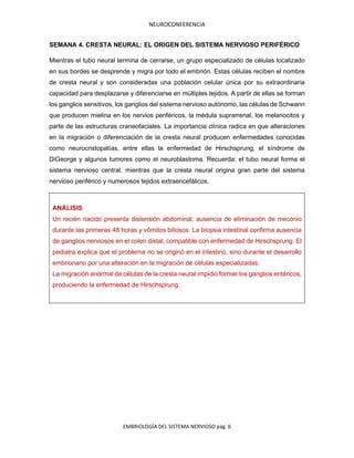 NEUROCONFERENCIA
EMBRIOLOGÍA DEL SISTEMA NERVIOSO pág. 6
SEMANA 4. CRESTA NEURAL: EL ORIGEN DEL SISTEMA NERVIOSO PERIFÉRICO
Mientras el tubo neural termina de cerrarse, un grupo especializado de células localizado
en sus bordes se desprende y migra por todo el embrión. Estas células reciben el nombre
de cresta neural y son consideradas una población celular única por su extraordinaria
capacidad para desplazarse y diferenciarse en múltiples tejidos. A partir de ellas se forman
los ganglios sensitivos, los ganglios del sistema nervioso autónomo, las células de Schwann
que producen mielina en los nervios periféricos, la médula suprarrenal, los melanocitos y
parte de las estructuras craneofaciales. La importancia clínica radica en que alteraciones
en la migración o diferenciación de la cresta neural producen enfermedades conocidas
como neurocristopatías, entre ellas la enfermedad de Hirschsprung, el síndrome de
DiGeorge y algunos tumores como el neuroblastoma. Recuerda: el tubo neural forma el
sistema nervioso central, mientras que la cresta neural origina gran parte del sistema
nervioso periférico y numerosos tejidos extraencefálicos.
ANÁLISIS
Un recién nacido presenta distensión abdominal, ausencia de eliminación de meconio
durante las primeras 48 horas y vómitos biliosos. La biopsia intestinal confirma ausencia
de ganglios nerviosos en el colon distal, compatible con enfermedad de Hirschsprung. El
pediatra explica que el problema no se originó en el intestino, sino durante el desarrollo
embrionario por una alteración en la migración de células especializadas.
La migración anormal de células de la cresta neural impidió formar los ganglios entéricos,
produciendo la enfermedad de Hirschsprung.
 