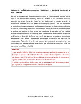 NEUROCONFERENCIA
EMBRIOLOGÍA DEL SISTEMA NERVIOSO pág. 7
SEMANA 5. VESÍCULAS CEREBRALES PRIMARIAS: EL CEREBRO COMIENZA A
ORGANIZARSE
Durante la quinta semana del desarrollo embrionario, el extremo cefálico del tubo neural
deja de ser una estructura uniforme y comienza a dividirse en tres dilataciones llamadas
vesículas cerebrales primarias. Estas son el prosencéfalo o cerebro anterior, el
mesencéfalo o cerebro medio y el rombencéfalo o cerebro posterior. Cada una representa
el origen de regiones cerebrales con funciones específicas que continuarán diferenciándose
durante las semanas siguientes. Este proceso marca el inicio de la organización anatómica
y funcional del sistema nervioso central. La importancia clínica radica en que muchas
malformaciones congénitas del cerebro pueden comprenderse identificando cuál vesícula
embrionaria se desarrolló de forma anormal, lo que permite correlacionar alteraciones
estructurales con déficits neurológicos específicos observados en estudios de
neuroimagen. Recuerda: el cerebro no aparece completamente formado; primero se
organiza en tres grandes regiones embrionarias que servirán como base para todas las
estructuras encefálicas del adulto.
ANÁLISIS
Una ecografía obstétrica del primer trimestre muestra una alteración importante en el
desarrollo de la región anterior del encéfalo fetal. El especialista explica a los estudiantes
que la lesión se originó cuando el cerebro apenas comenzaba a dividirse en sus primeras
regiones embrionarias, mucho antes de adquirir su forma definitiva.
El defecto comprometió el prosencéfalo, una de las tres vesículas cerebrales primarias
que originan las principales estructuras encefálicas anteriores.
 