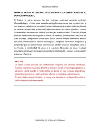 NEUROCONFERENCIA
EMBRIOLOGÍA DEL SISTEMA NERVIOSO pág. 8
SEMANA 5. VESÍCULAS CEREBRALES SECUNDARIAS: EL CEREBRO ADQUIERE SU
IDENTIDAD FUNCIONAL
Al finalizar la quinta semana, las tres vesículas cerebrales primarias continúan
diferenciándose y originan cinco vesículas cerebrales secundarias, que corresponden al
plan anatómico definitivo del encéfalo. El prosencéfalo se divide en telencéfalo, que formará
los hemisferios cerebrales, y diencéfalo, origen del tálamo, hipotálamo, epitálamo y retina.
El mesencéfalo permanece sin dividirse y dará origen al cerebro medio. El rombencéfalo se
divide en metencéfalo, que originará el puente y el cerebelo, y mielencéfalo, precursor del
bulbo raquídeo. La importancia clínica radica en que conocer el origen embrionario de cada
estructura permite localizar lesiones neurológicas, interpretar resonancias magnéticas y
comprender por qué determinadas enfermedades afectan funciones específicas como el
movimiento, la sensibilidad, la visión o el equilibrio. Recuerda: las cinco vesículas
secundarias constituyen el mapa embrionario del encéfalo adulto y explican su organización
anatómica y funcional.
ANÁLISIS
Un recién nacido presenta una malformación congénita del cerebelo identificada
mediante resonancia magnética. Durante la discusión clínica, el neurólogo explica que la
alteración ocurrió cuando el rombencéfalo se dividía en sus vesículas secundarias,
afectando únicamente la región destinada a formar el cerebelo y parte del puente.
El metencéfalo originó el cerebelo y el puente; una alteración en su desarrollo produjo la
malformación cerebelosa congénita.
 