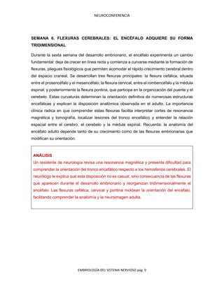 NEUROCONFERENCIA
EMBRIOLOGÍA DEL SISTEMA NERVIOSO pág. 9
SEMANA 6. FLEXURAS CEREBRALES: EL ENCÉFALO ADQUIERE SU FORMA
TRIDIMENSIONAL
Durante la sexta semana del desarrollo embrionario, el encéfalo experimenta un cambio
fundamental: deja de crecer en línea recta y comienza a curvarse mediante la formación de
flexuras, pliegues fisiológicos que permiten acomodar el rápido crecimiento cerebral dentro
del espacio craneal. Se desarrollan tres flexuras principales: la flexura cefálica, situada
entre el prosencéfalo y el mesencéfalo; la flexura cervical, entre el rombencéfalo y la médula
espinal; y posteriormente la flexura pontina, que participa en la organización del puente y el
cerebelo. Estas curvaturas determinan la orientación definitiva de numerosas estructuras
encefálicas y explican la disposición anatómica observada en el adulto. La importancia
clínica radica en que comprender estas flexuras facilita interpretar cortes de resonancia
magnética y tomografía, localizar lesiones del tronco encefálico y entender la relación
espacial entre el cerebro, el cerebelo y la médula espinal. Recuerda: la anatomía del
encéfalo adulto depende tanto de su crecimiento como de las flexuras embrionarias que
modifican su orientación.
ANÁLISIS
Un residente de neurología revisa una resonancia magnética y presenta dificultad para
comprender la orientación del tronco encefálico respecto a los hemisferios cerebrales. El
neurólogo le explica que esta disposición no es casual, sino consecuencia de las flexuras
que aparecen durante el desarrollo embrionario y reorganizan tridimensionalmente el
encéfalo. Las flexuras cefálica, cervical y pontina moldean la orientación del encéfalo,
facilitando comprender la anatomía y la neuroimagen adulta.
 