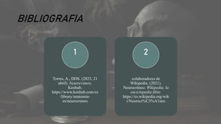 BIBLIOGRAFIA
Torres, A., DDS. (2023, 21
abril). Neurocráneo.
Kenhub.
https://www.kenhub.com/es
/library/anatomia-
es/neurocraneo
1
colaboradores de
Wikipedia. (2021).
Neurocráneo. Wikipedia, la
enciclopedia libre.
https://es.wikipedia.org/wik
i/Neurocr%C3%A1neo
2
 