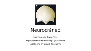 Neurocráneo
Luis Francisco Reyes Pérez
Especialista en Traumatología y Ortopedia
Especialista en Cirugía de columna
 